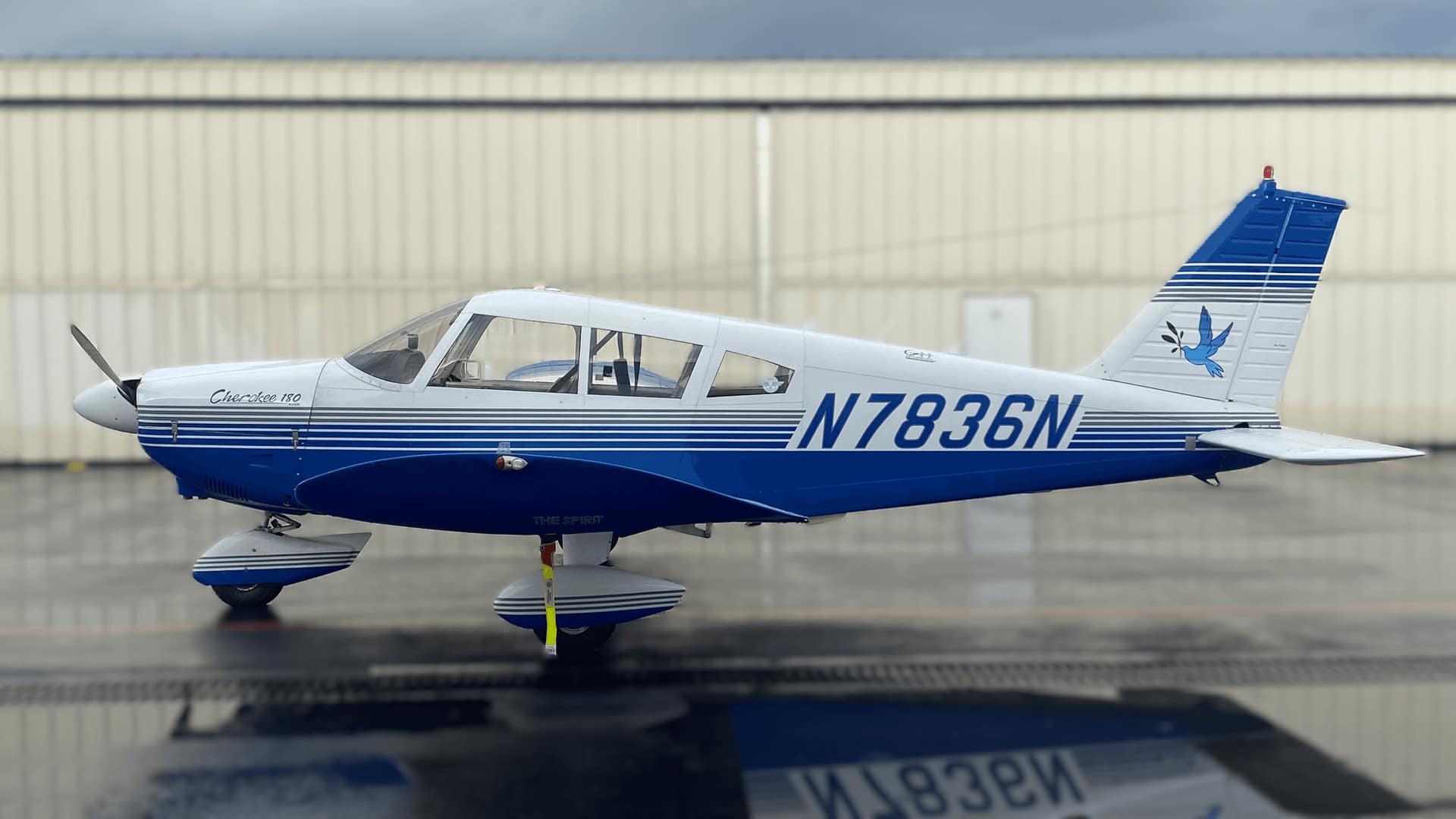 Blue-and-white Piper Cherokee N7836N parked on a wet ramp in front of a hangar, seen in side profile